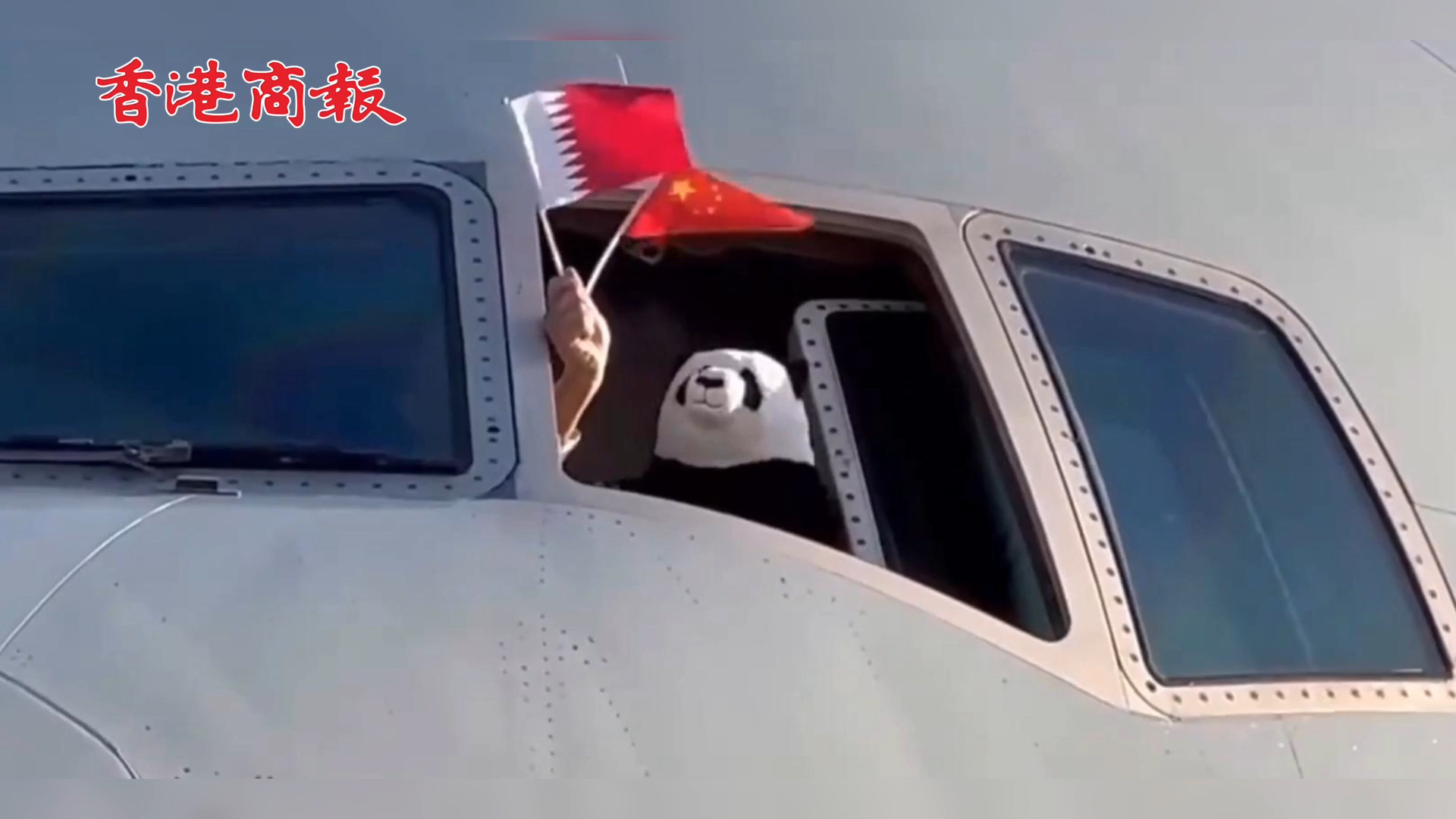 有片 | 中東首對！中國大熊貓四海和京京抵達卡塔爾