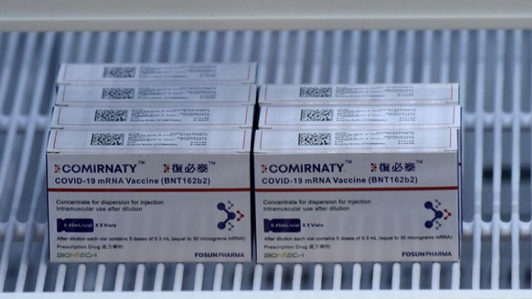 再有一批約52萬劑復必泰疫苗到港