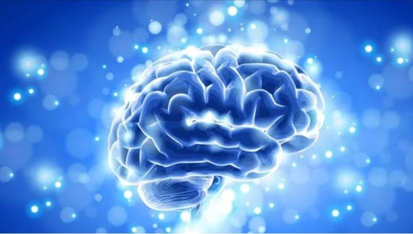 《科學》刊中國研究員新成果 有望解碼大腦「化學語言」