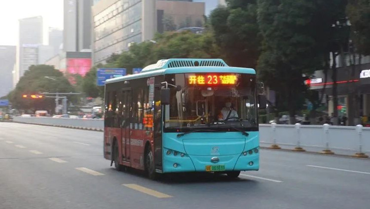 全面通關！深圳這些口岸公交線路有調整！
