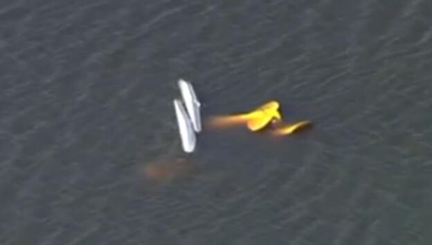 兩架小型飛機在美國佛羅里達州相撞 致四人遇難