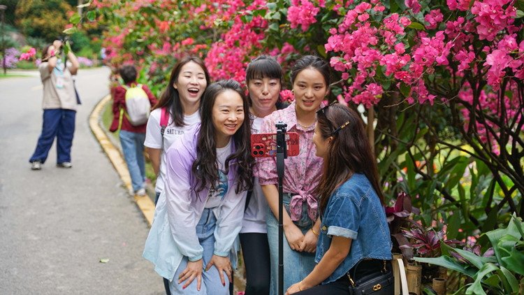 有片 | 最美人間四月天——在深圳邂逅一場花事盛會