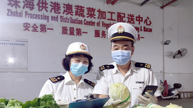 高效通關，香洲海關保障供港新鮮蔬菜「即日達」
