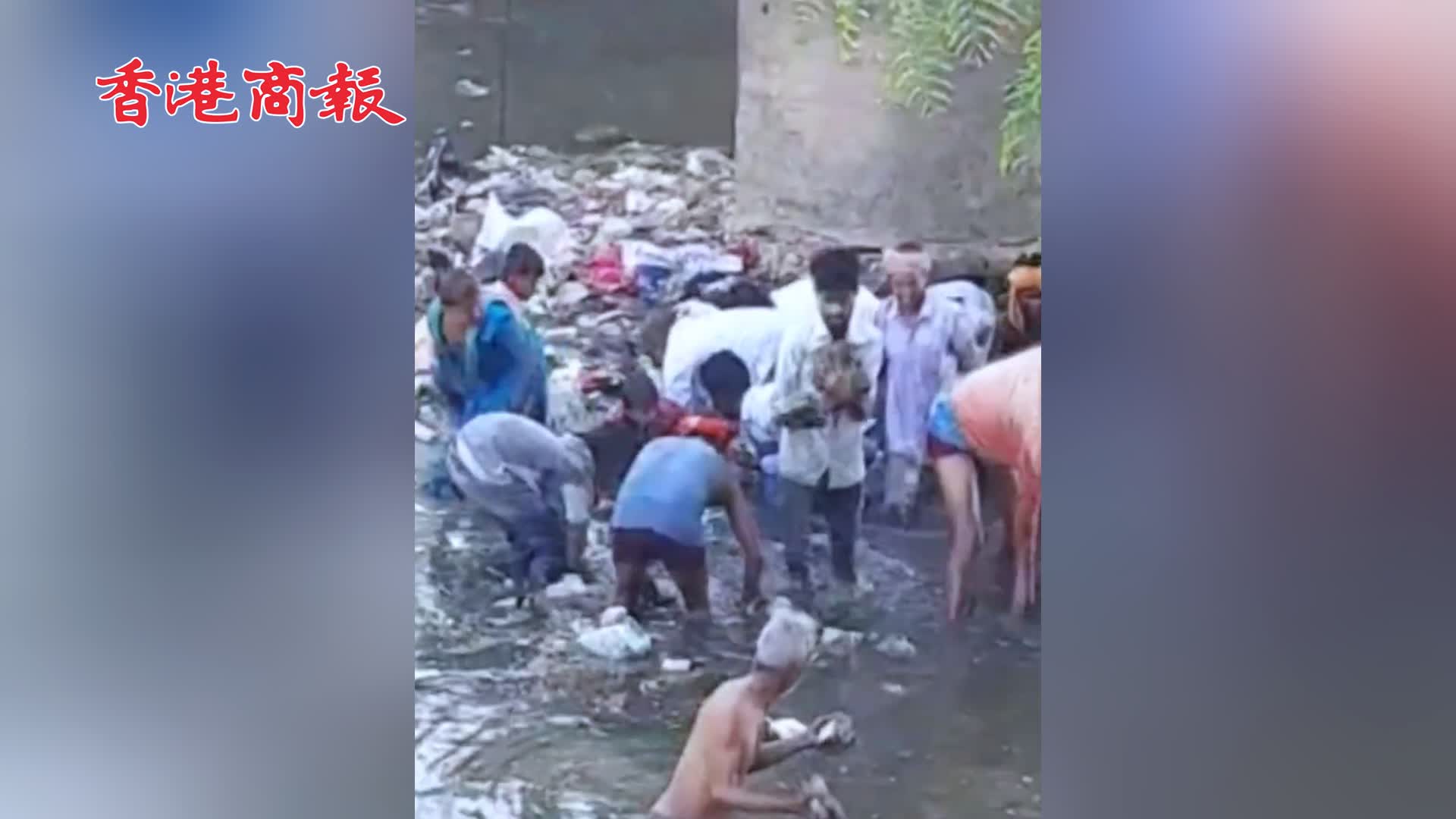 有片 | 印度一河溝被人扔下幾十萬盧比現金 居民跳進河哄搶撈錢