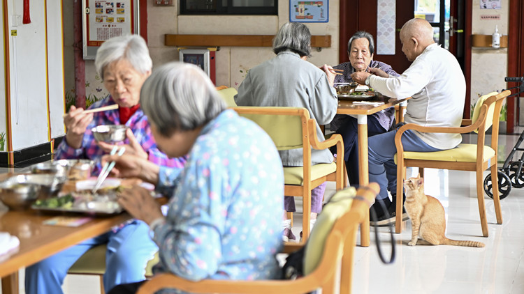 「北上養老」成為香港老年人新選擇  大灣區養老公寓投資前景看好