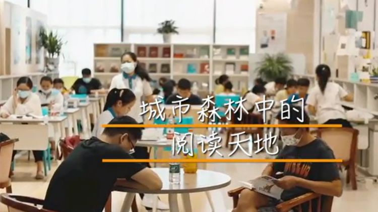 逛書店，泡書吧！CCTV4《走遍中國》聚焦書香深圳