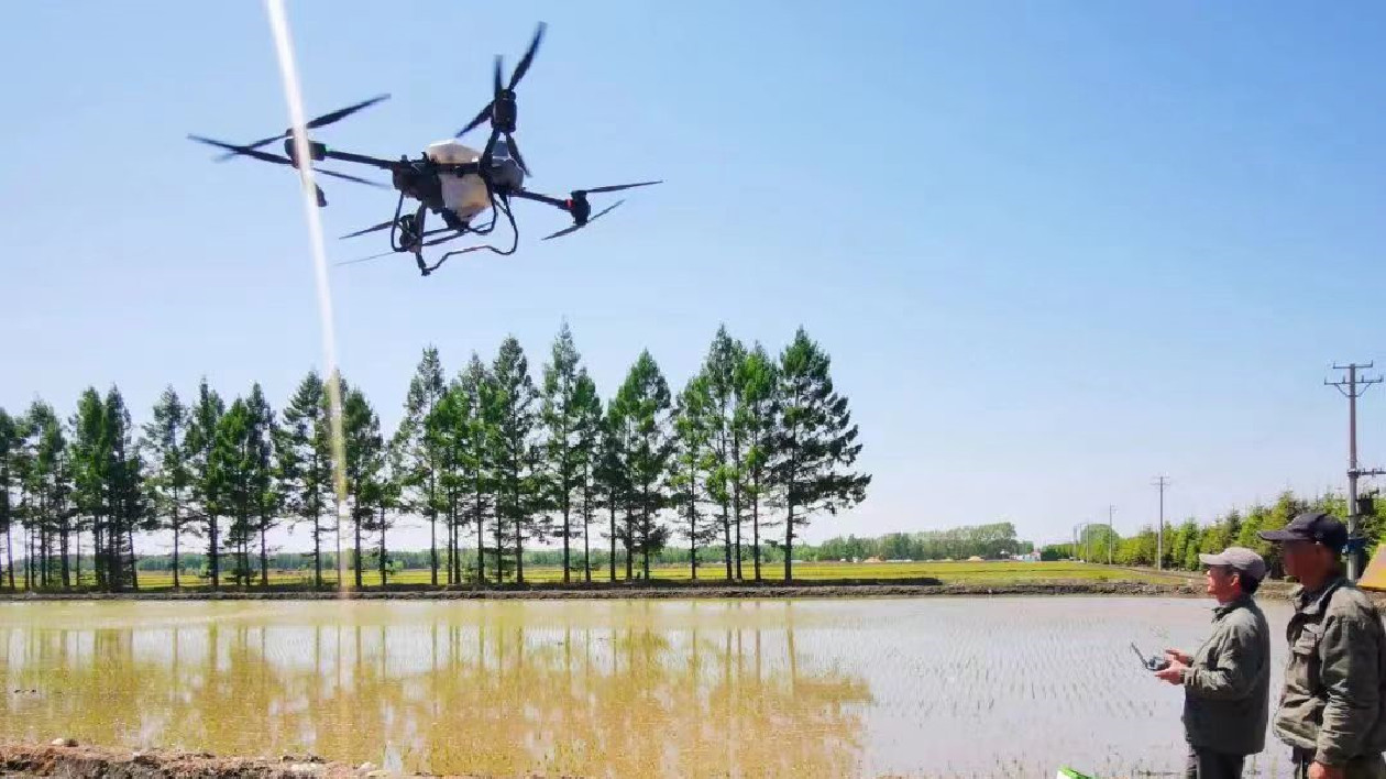 北大荒集團鴨綠河農場有限公司：水稻夏管正當時 農技服務助增收