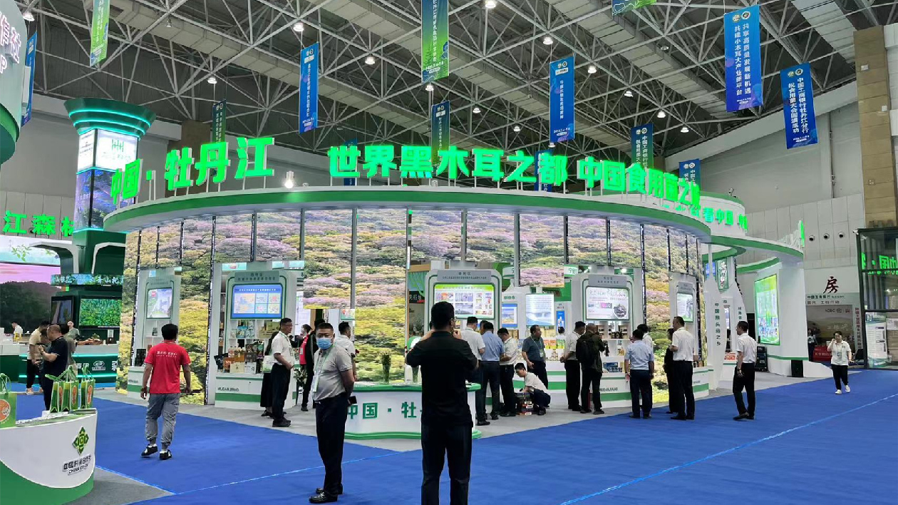 【「雪城」牡丹江 點「菌」成金】系列報道之八