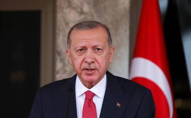 埃爾多安：土耳其議會將決定是否批准瑞典加入北約