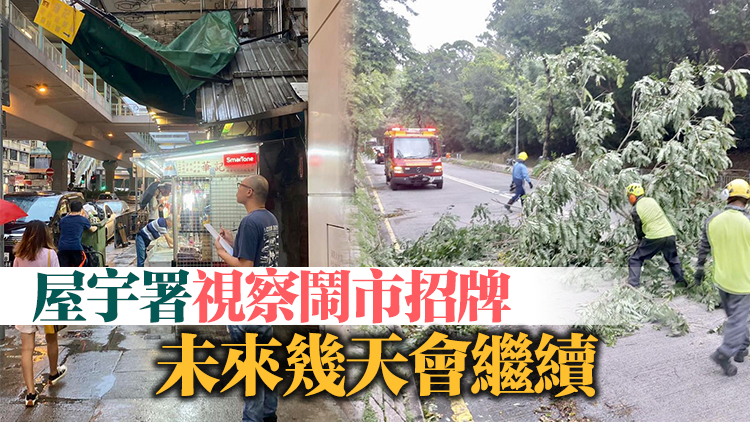 發展局：樹木管理部門於各區展開颱風後巡查工作 保障市民安全