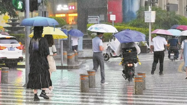 今年或仍有4至5個颱風影響深圳