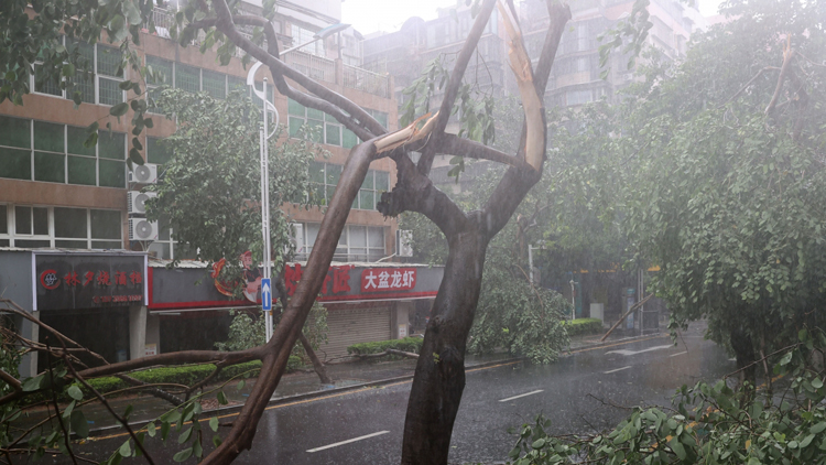颱風「杜蘇芮」致福建88萬餘人受災 直接經濟損失逾4億元