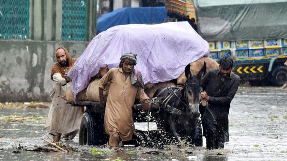 逾一個月來巴基斯坦強降雨造成至少173人死亡 