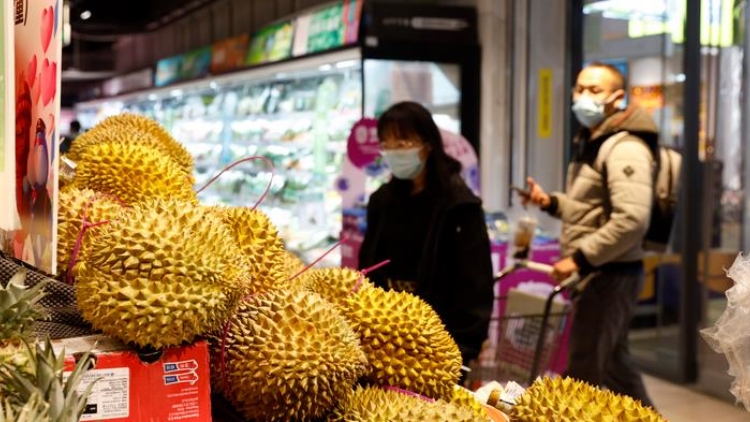 泰國上半年水果出口55億美元增長逾一成 中國為重要市場