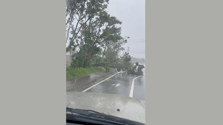 超強颱風「卡努」致日本沖繩1人死亡 超21萬住戶停電