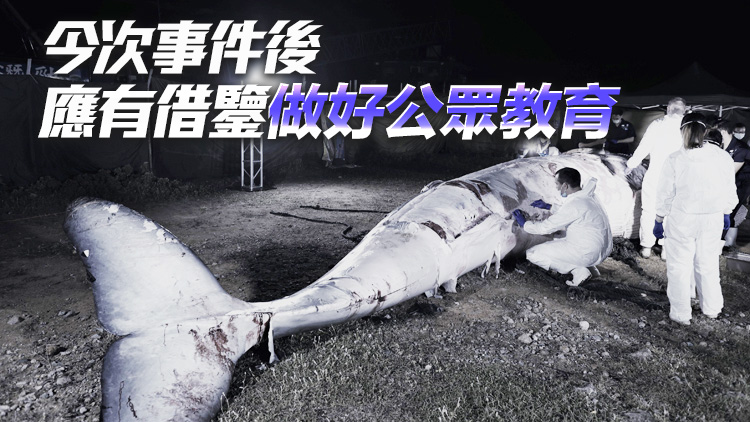 海洋公園：西貢鯨魚屍體初步解剖已完成 需至少數周分析死因