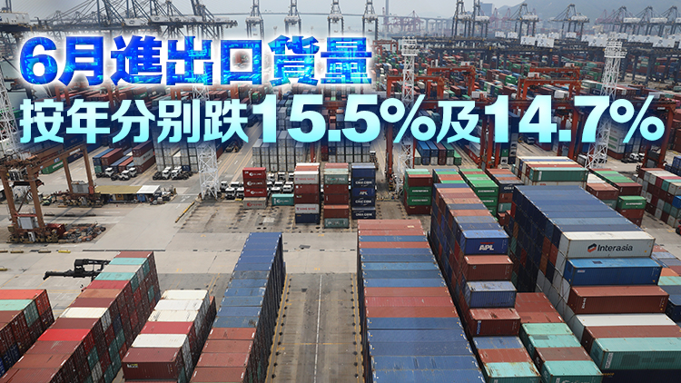 本港上半年進出口按年分別跌16.2%及18.7% 所有主要供應地進口均下降