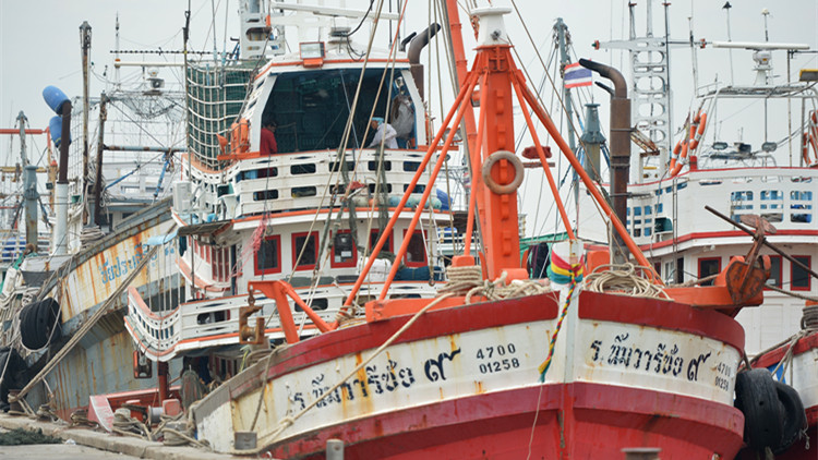 泰國食藥監局：將嚴查日本進口海產品