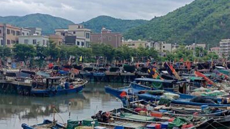 「五停」持續生效 深圳全市動員防禦颱風「蘇拉」