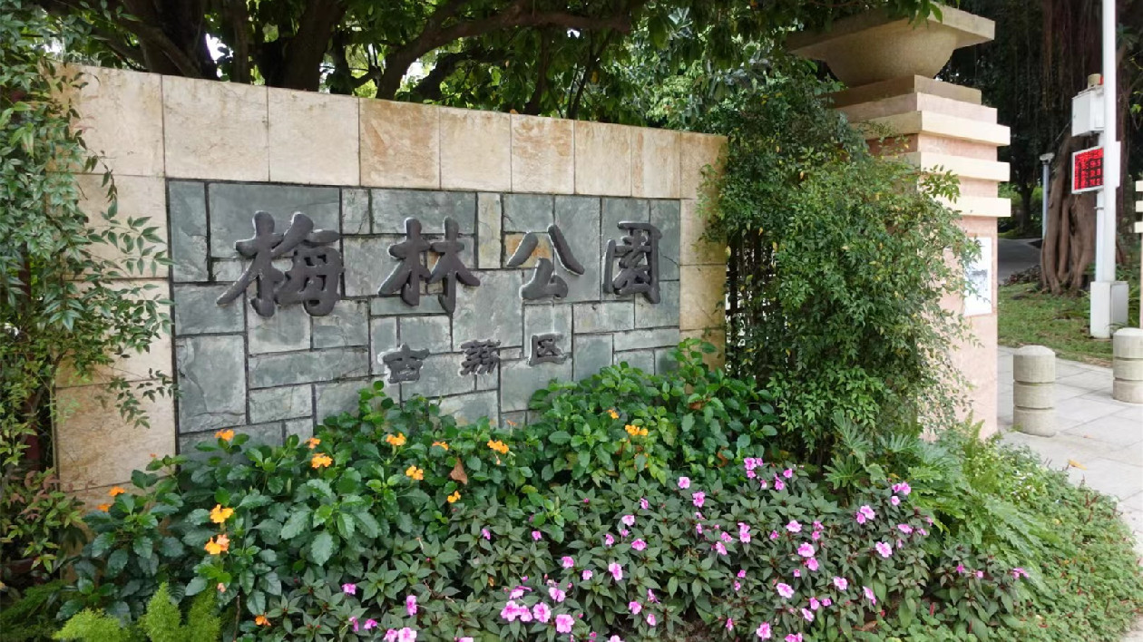 深圳梅林公園蚊媒密度超標 執法隊現場開出責令整改通知書