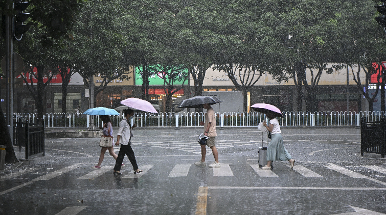廣東省水利廳：全力做好暴雨洪水防禦