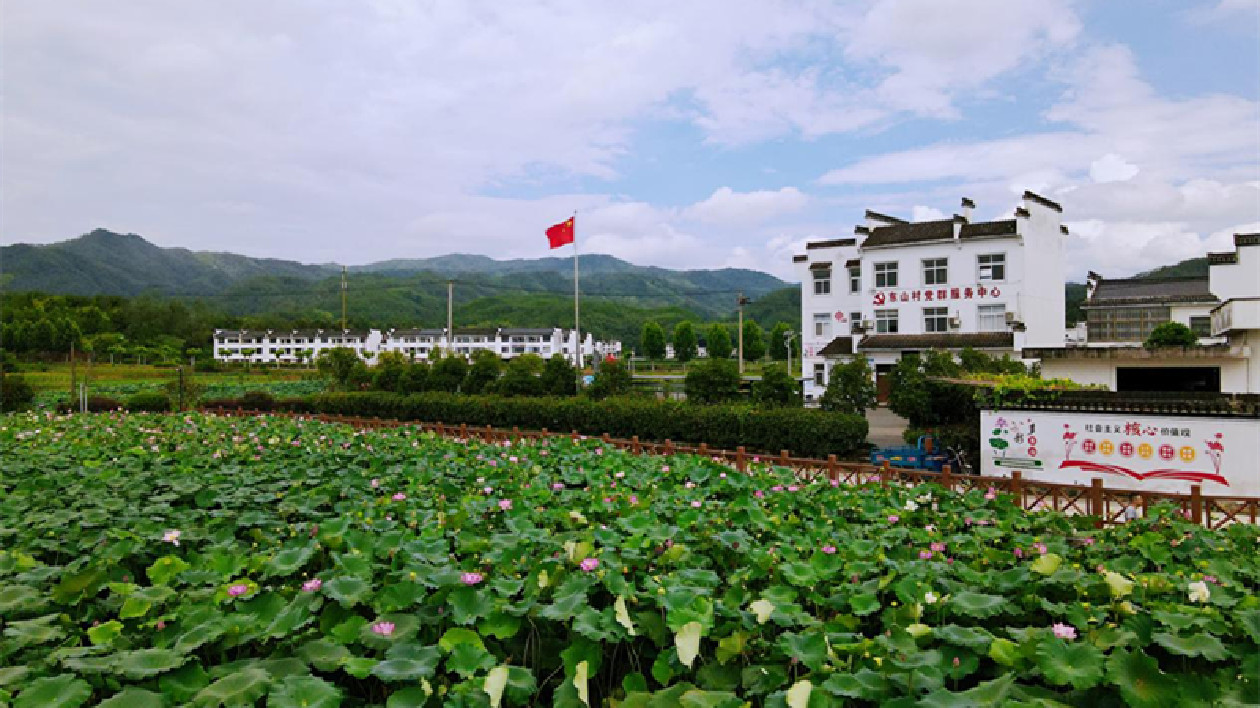 強化項目支撐  皖徽州區產業幫扶助農增收