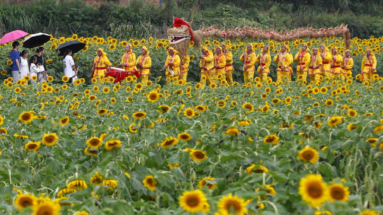 古村落「新玩法」  皖徽州區創新全域旅遊煥新活力