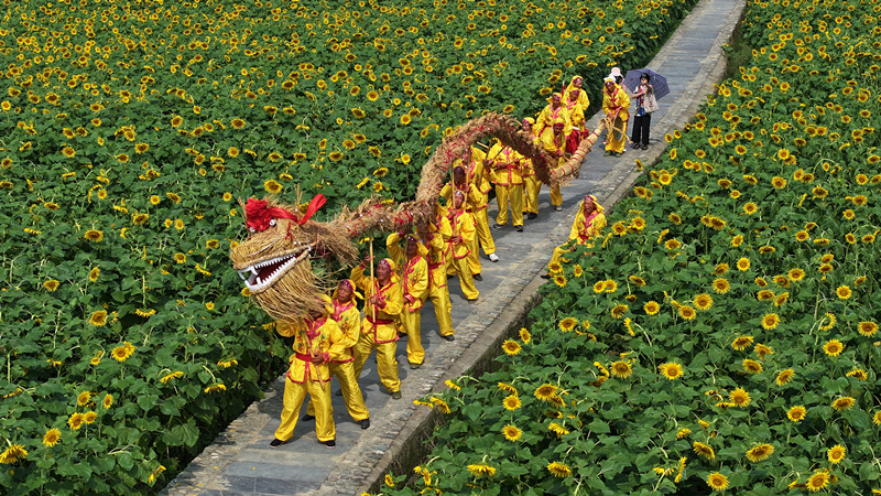 推動文化振興  皖徽州潛口鎮拓一村一品發展新局