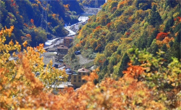 秋日美景入畫來 黑水冰川彩林生態文化旅遊季開啟