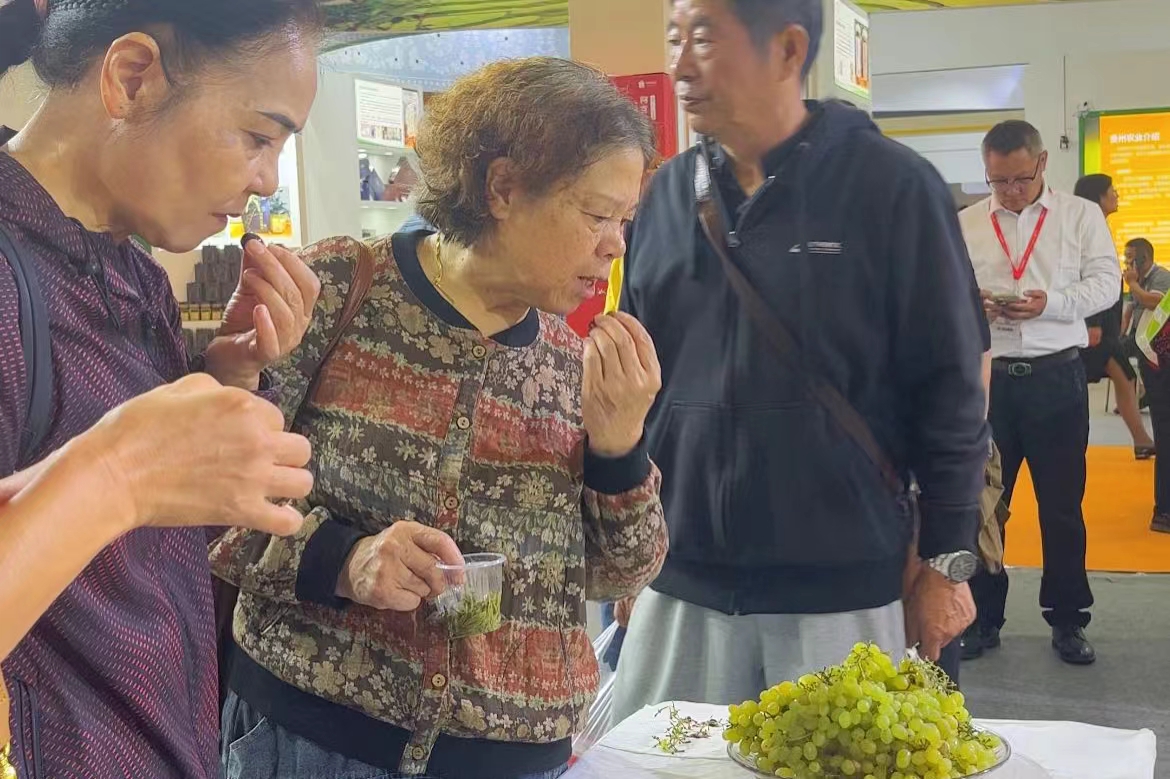 新疆與湖南的「甜蜜之約」：77種新疆葡萄來湘參展中部農博會