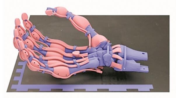 研究人員3D打印出有骨骼、韌带和肌腱的機器人手 