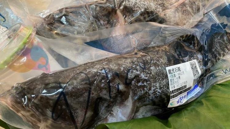 國台辦：海關總署決定自12月22日起恢復台灣地區石斑魚輸入