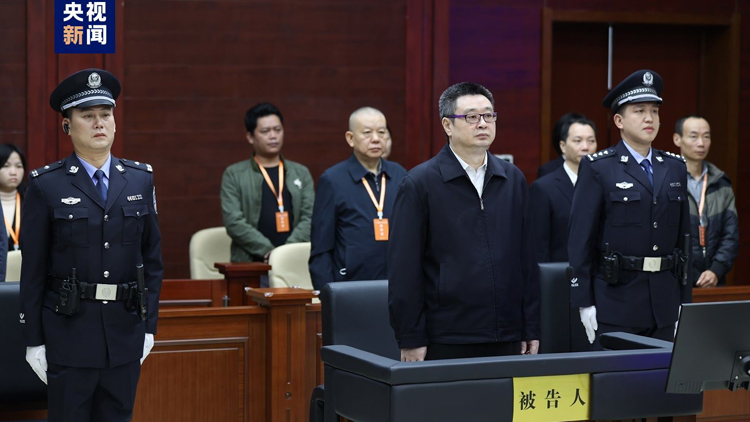 廣西壯族自治區人民政府原副主席劉宏武一審獲刑15年