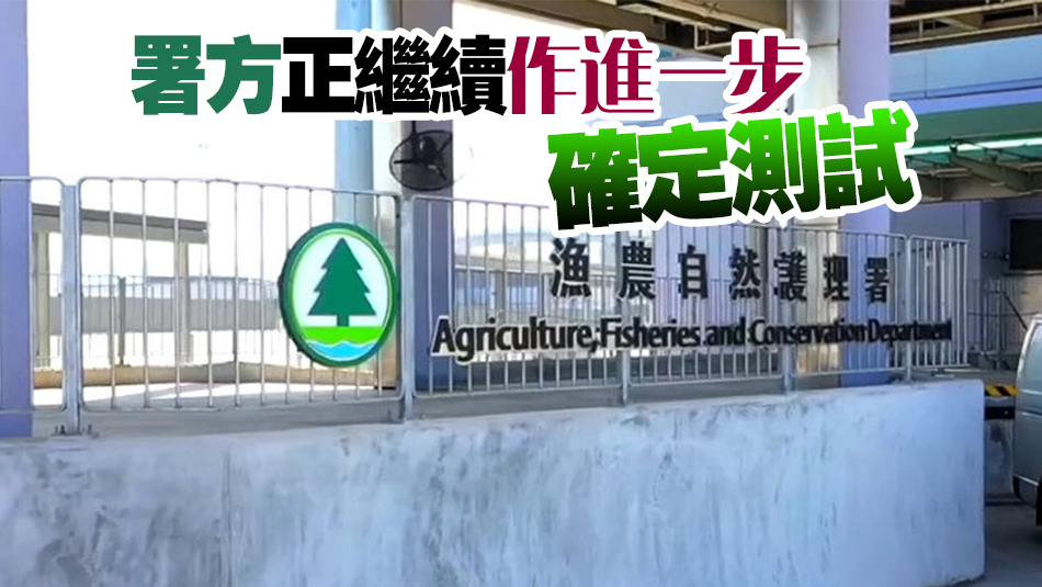 漁護署：天水圍香港濕地公園赤頸鴨屍體對H5病毒測試呈陽性反應