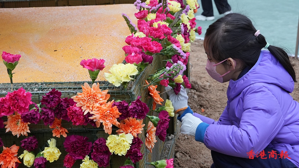 圖集｜維園逾千學生以4.4萬株花卉鑲嵌「糖果屋」