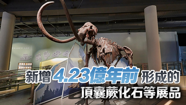 科學館古生物展4·6起局部關閉 真猛獁象化石黔魚龍化石等將歸還