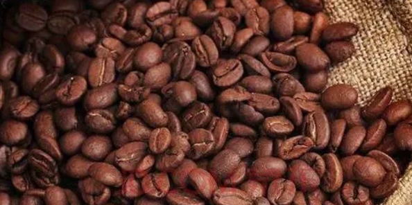 2023年雲南普洱咖啡豆出口4252噸 銷往19個國家和地區