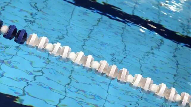 多名中國游泳選手陽性？世界反興奮劑機構闢謠