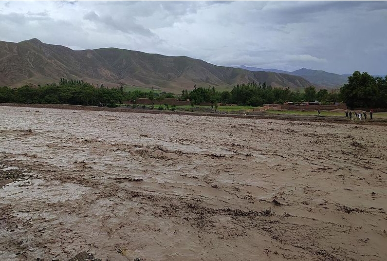 世界糧食計劃署：阿富汗洪災已致超300人死亡