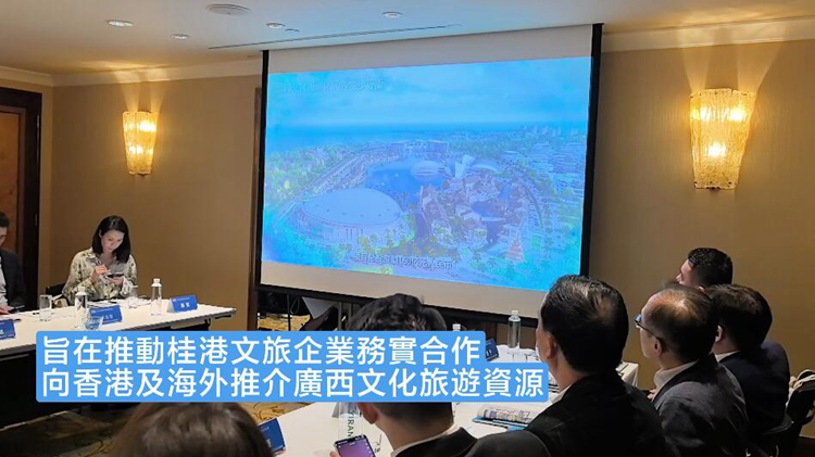 有片｜桂港兩地文旅企業開展務實對接 達成多個合作意向
