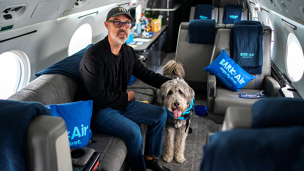 寵物狗航班美國首飛 一人一狗票價近5萬