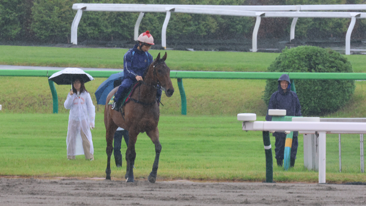 有片｜【東京直擊】浪漫勇士遨遊氣泡雨中慢踱