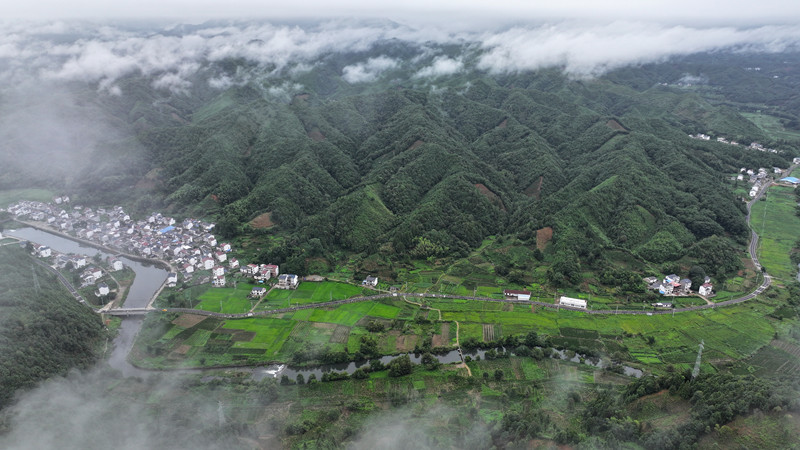施生態+發展模式  皖祁門蹚出生態產品價值新路