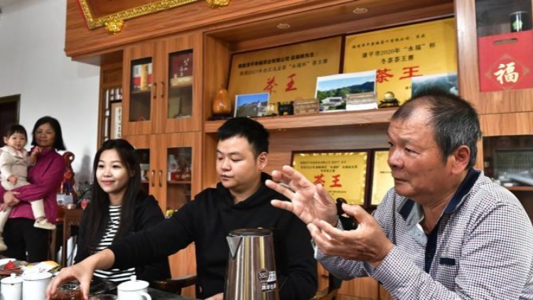 「大陸阿里山」的台灣父子種茶人：兩岸一杯茶