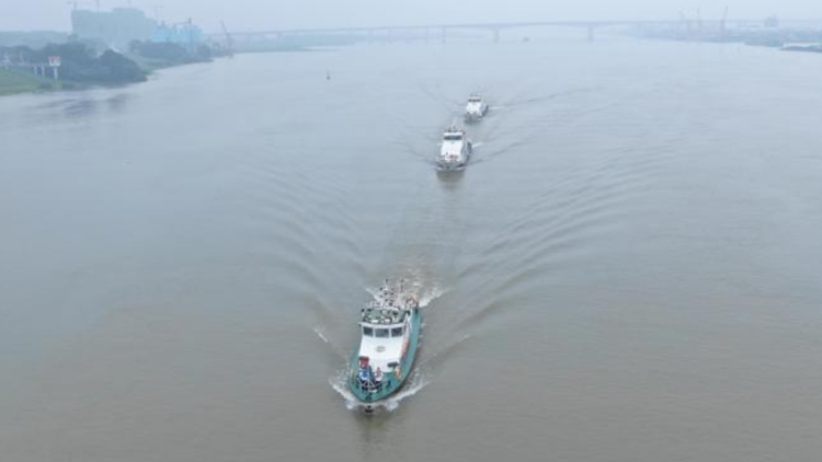廣東三市海事部門開展聯合巡航執法行動