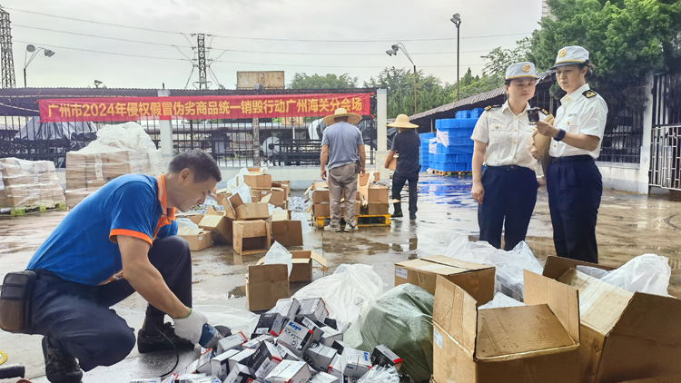 廣州海關集中銷毀3萬餘件侵權貨物