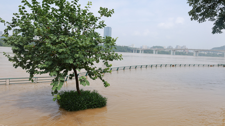 廣西22條河流30個站出現超警洪水