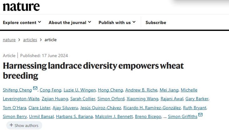 古麥今用 深圳科學家找回小麥丟失的遺傳多樣性