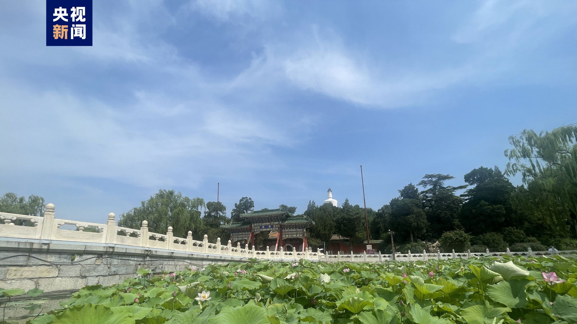 除故宮國博等 北京旅遊景區全面取消預約