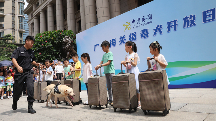 「汪汪隊」上崗  廣州海關舉辦「緝毒犬開放日」活動
